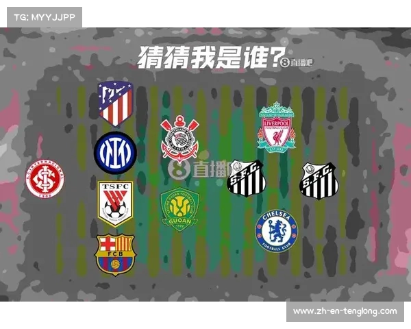 2015美洲杯巴西队阵容深度分析与表现回顾 2015美洲杯巴西队阵容深度分析与表现回顾