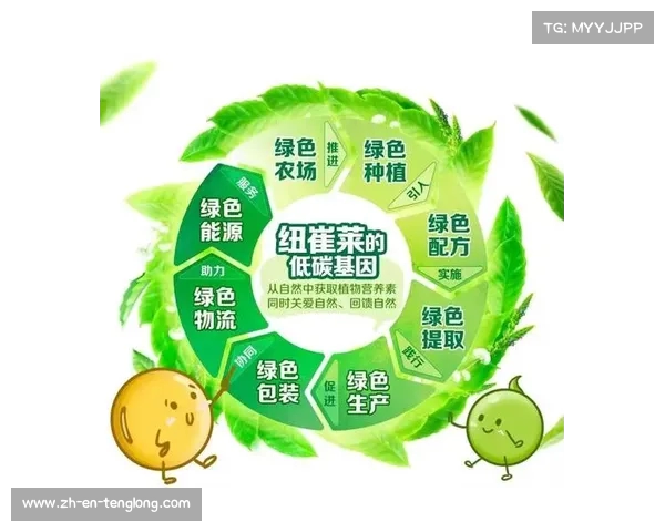 从中超菜地到城市农场打造绿色生活新方式 从中超菜地到城市农场打造绿色生活新方式